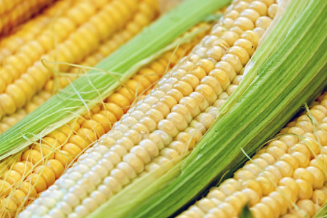 Ethanol-Free Gas